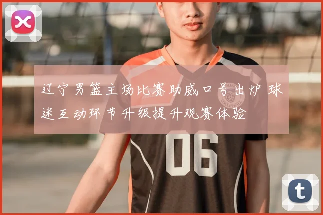 辽宁男篮主场比赛助威口号出炉 球迷互动环节升级提升观赛体验