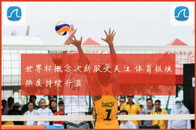 世界杯概念次新股受关注 体育板块热度持续升温