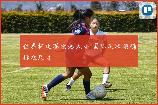 世界杯比赛场地大小 国际足联明确标准尺寸