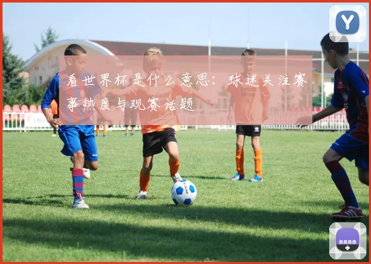 看世界杯是什么意思：球迷关注赛事热度与观赛话题
