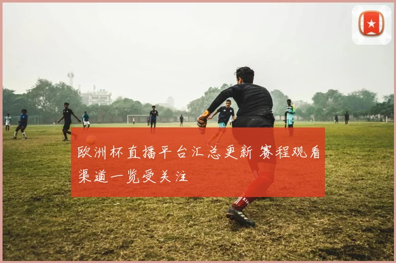 欧洲杯直播平台汇总更新 赛程观看渠道一览受关注