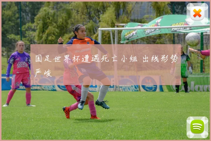 国足世界杯遭遇死亡小组 出线形势严峻