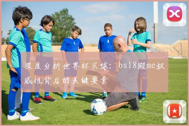 深度分析世界杯买球：bs18殿me权威性背后的关键要素