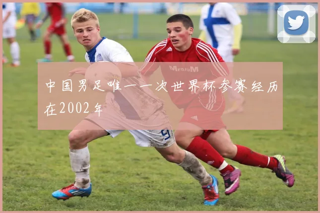 中国男足唯一一次世界杯参赛经历在2002年