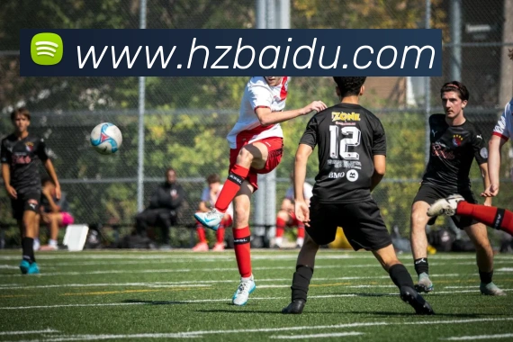 半岛官网网页版平台生态图