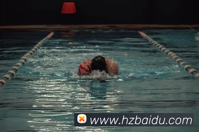 半岛官网网页版APP 封面图